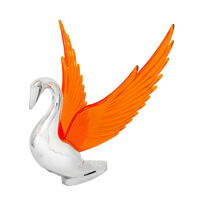 Imagen de CNMXT11CISNE